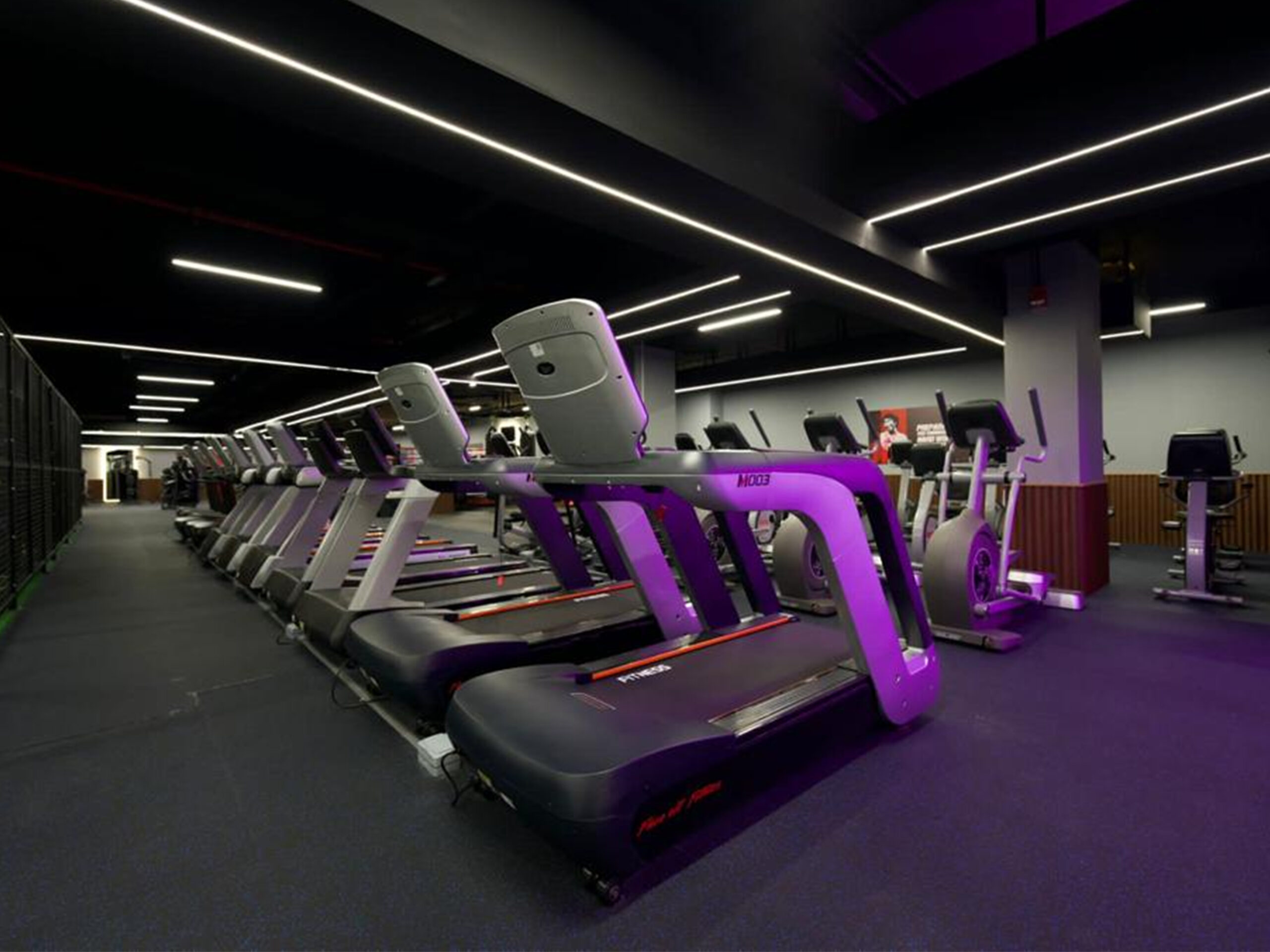 Cardio