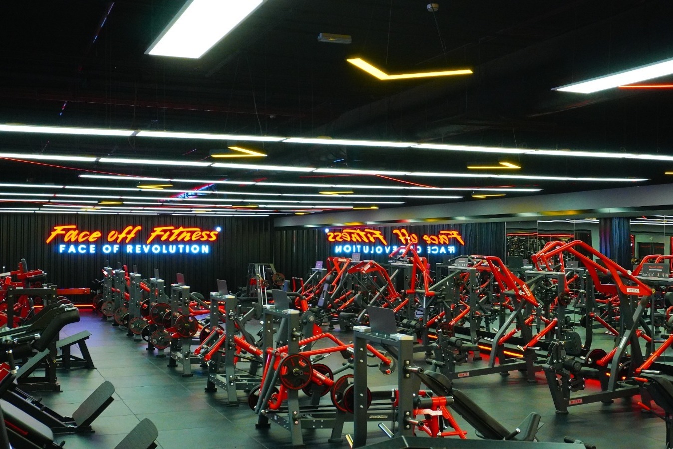 Professional Fitness Equipment for Every Gym
