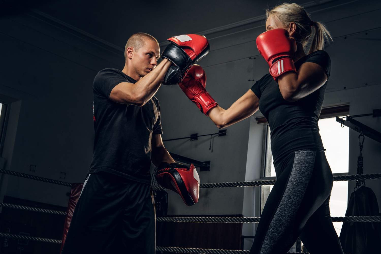 Boxing Classes in Barsha Heights Dubai | Face Off Fitness